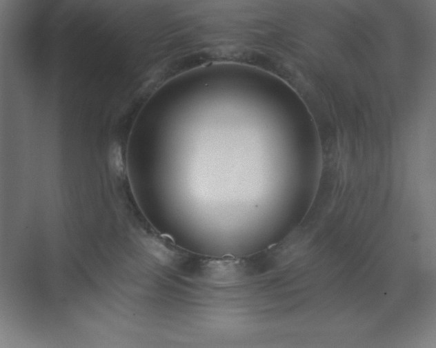 X0000075410089200609151858
