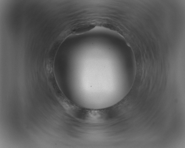 X0000075410091200609151858