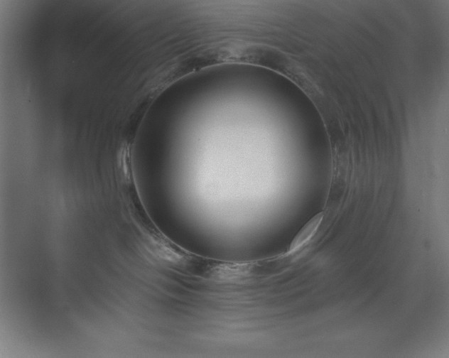 X0000075410094200609151858