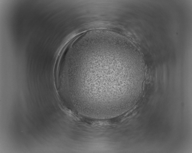 X0000075410099200609151857
