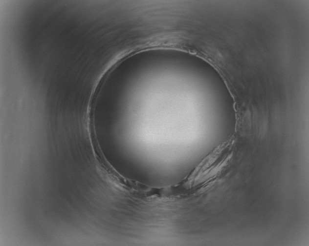 X0000075410100200609151857