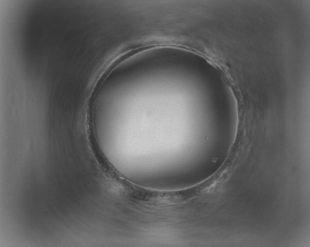 X0000075410103200609151857