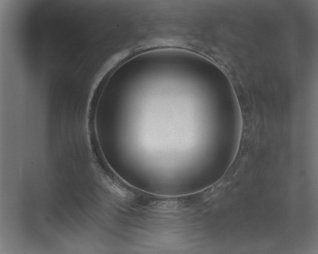 X0000075410104200609151857