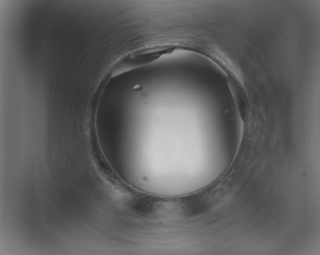X0000075410107200609151857