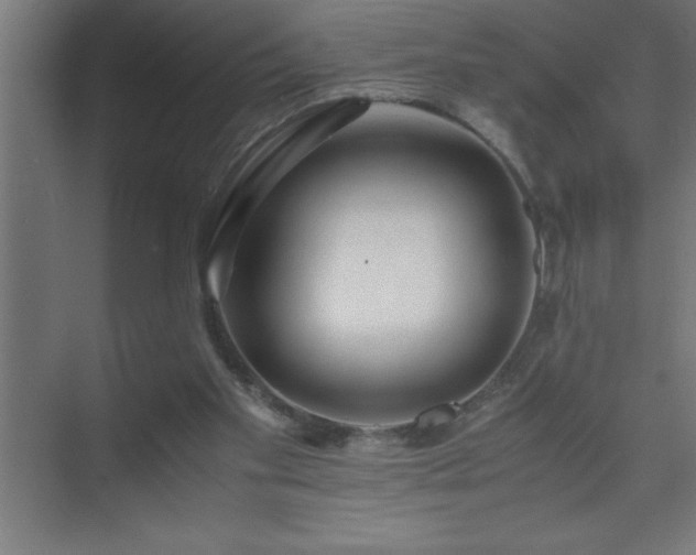 X0000075410109200609151857