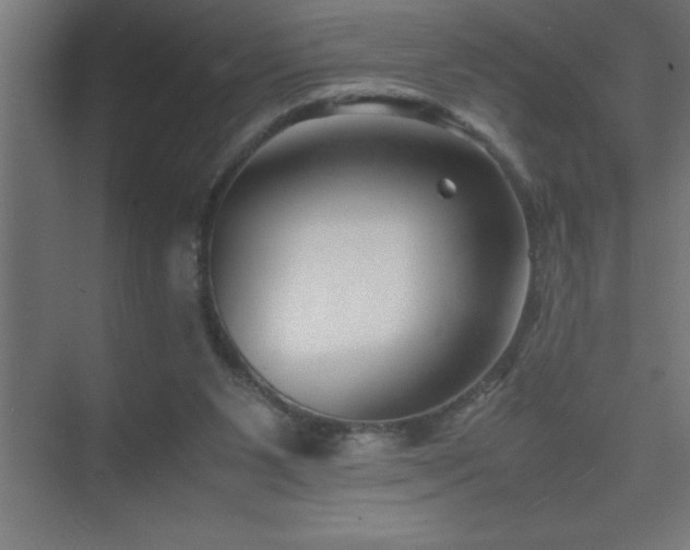 X0000075410111200609151857