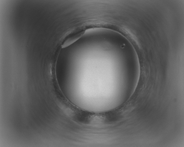X0000075410115200609151857