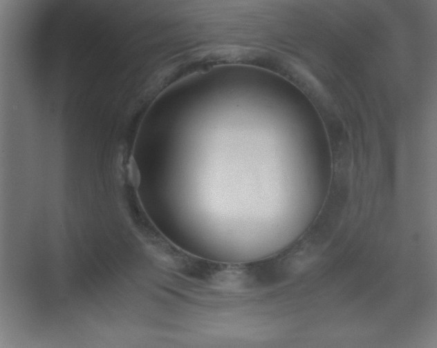 X0000075410119200609151857