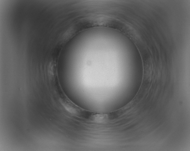 X0000075410126200609151857