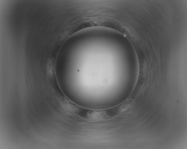 X0000075410129200609151857