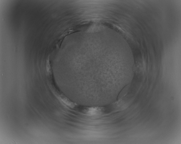X0000075410130200609151857