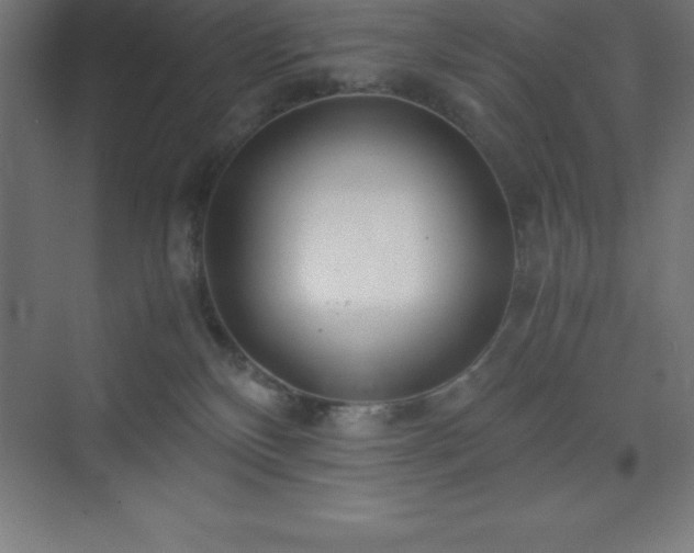 X0000075410136200609151857