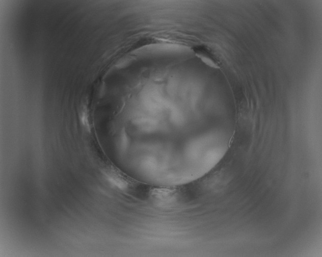 X0000075410139200609151856