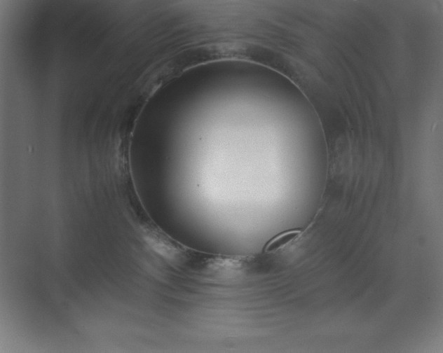 X0000075410140200609151856