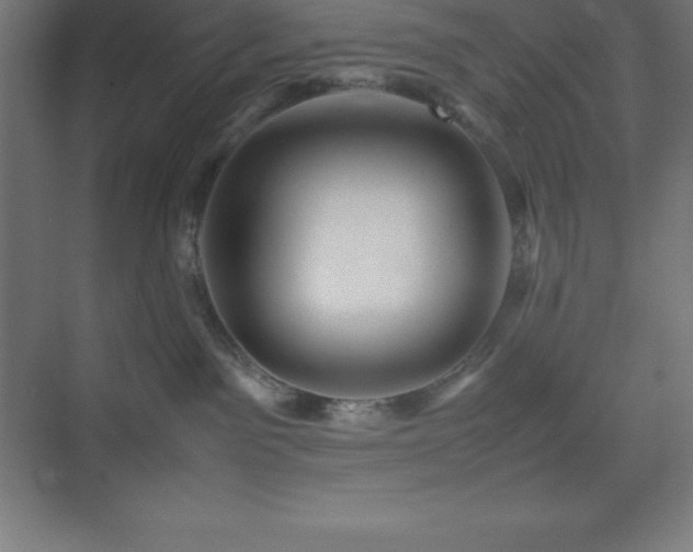 X0000075410141200609151856