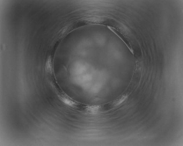 X0000075410143200609151856