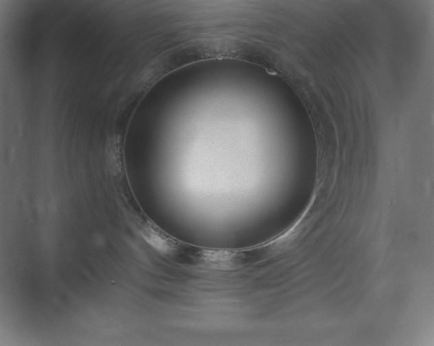 X0000075410144200609151856