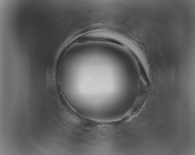 X0000075410150200609151856