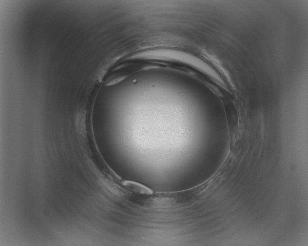 X0000075410154200609151856
