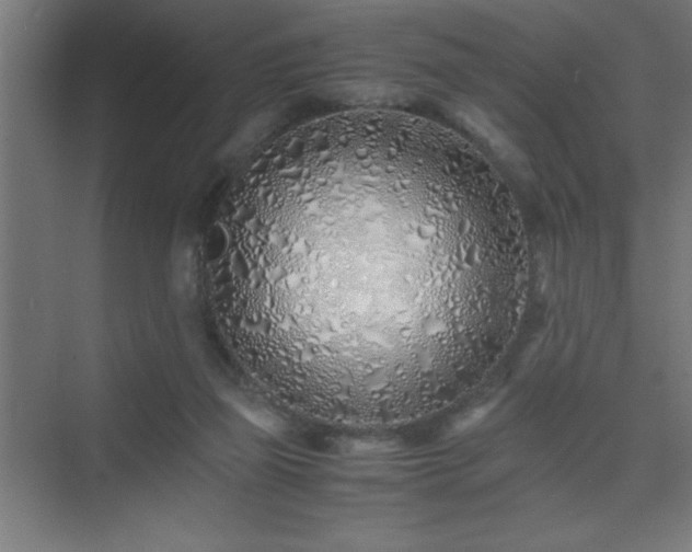 X0000075410165200609151856