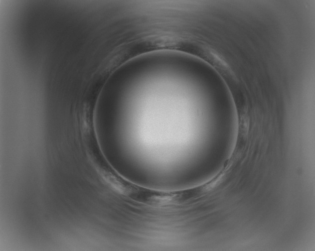 X0000075410170200609151856