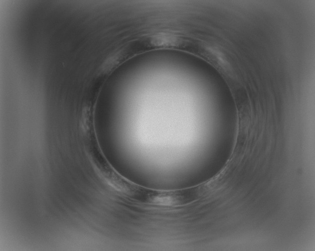 X0000075410171200609151856