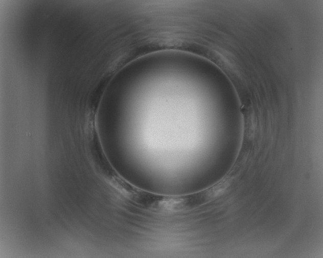 X0000075410172200609151856