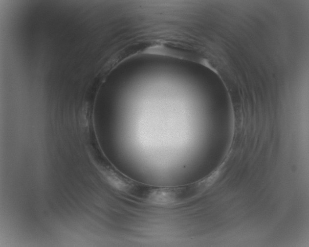 X0000075410174200609151856