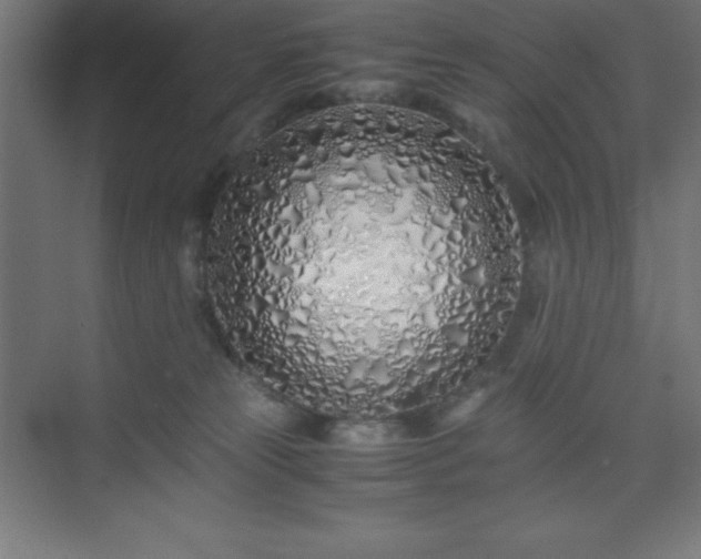 X0000075410181200609151856