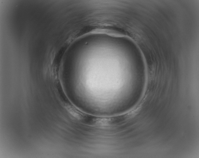 X0000075410182200609151856