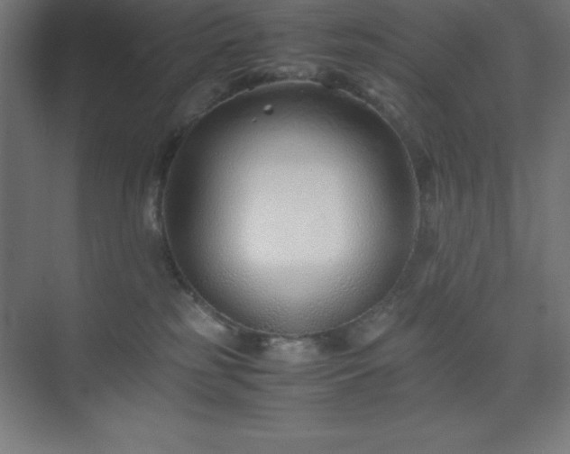 X0000075410185200609151856