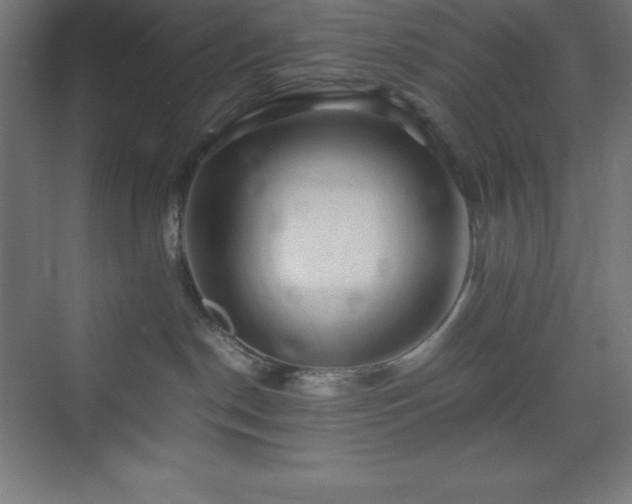X0000075410190200609151856