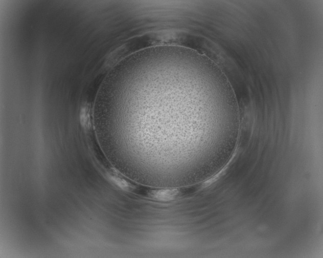X0000075410191200609151856