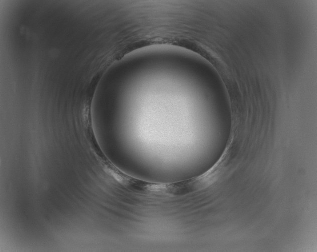X0000075410192200609151856