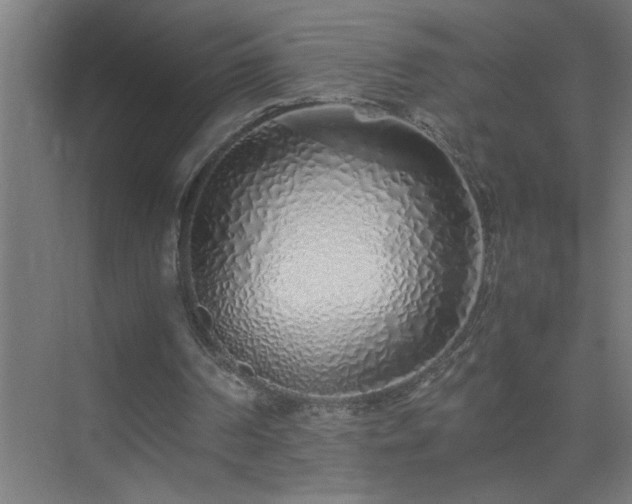 X0000075410194200609151856