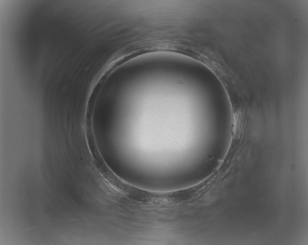 X0000075410195200609151856