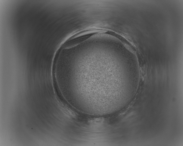 X0000075410196200609151856
