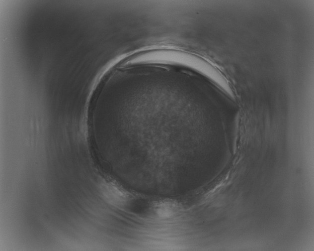 X0000075410200200609151855