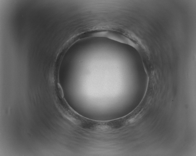 X0000075410203200609151855