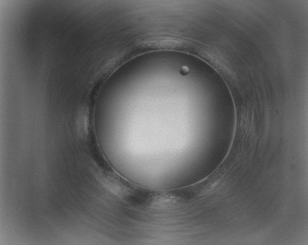 X0000075410206200609151855
