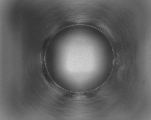 X0000075410210200609151855