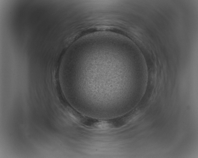 X0000075410219200609151855