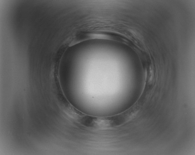 X0000075410221200609151855