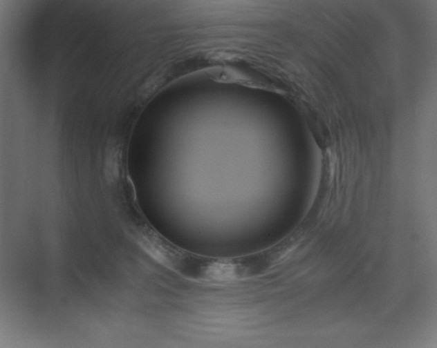 X0000075410227200609151855