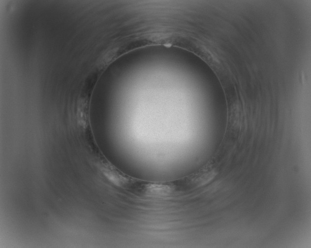 X0000075410234200609151855
