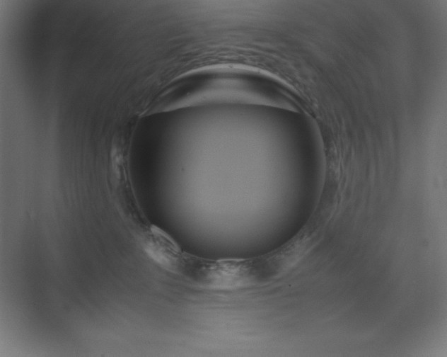 X0000075410235200609151855