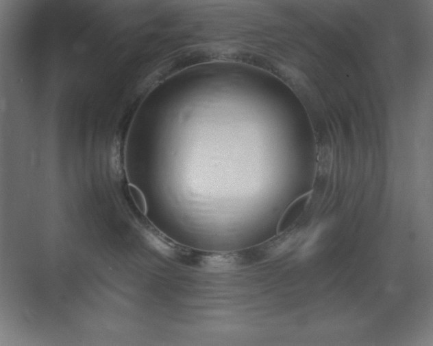 X0000075410238200609151855