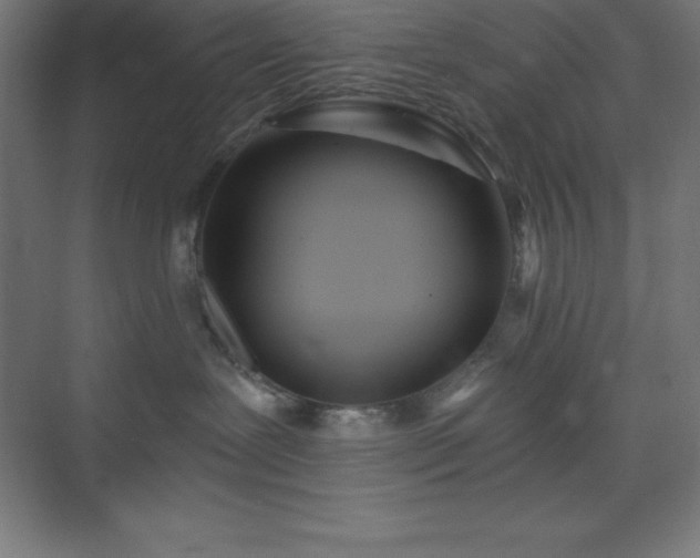 X0000075410239200609151855
