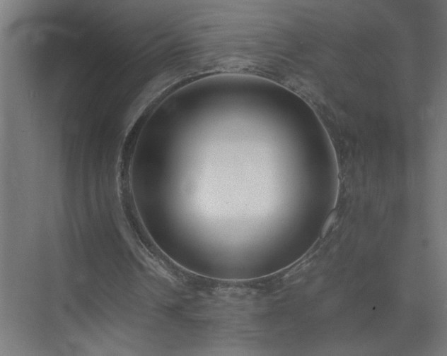 X0000075410242200609151854