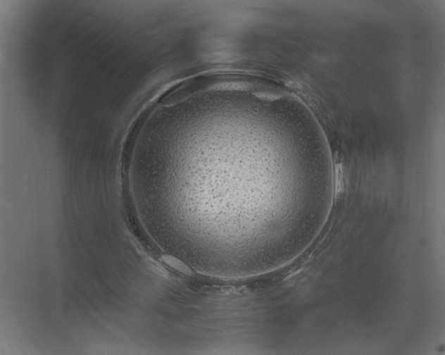X0000075410243200609151854